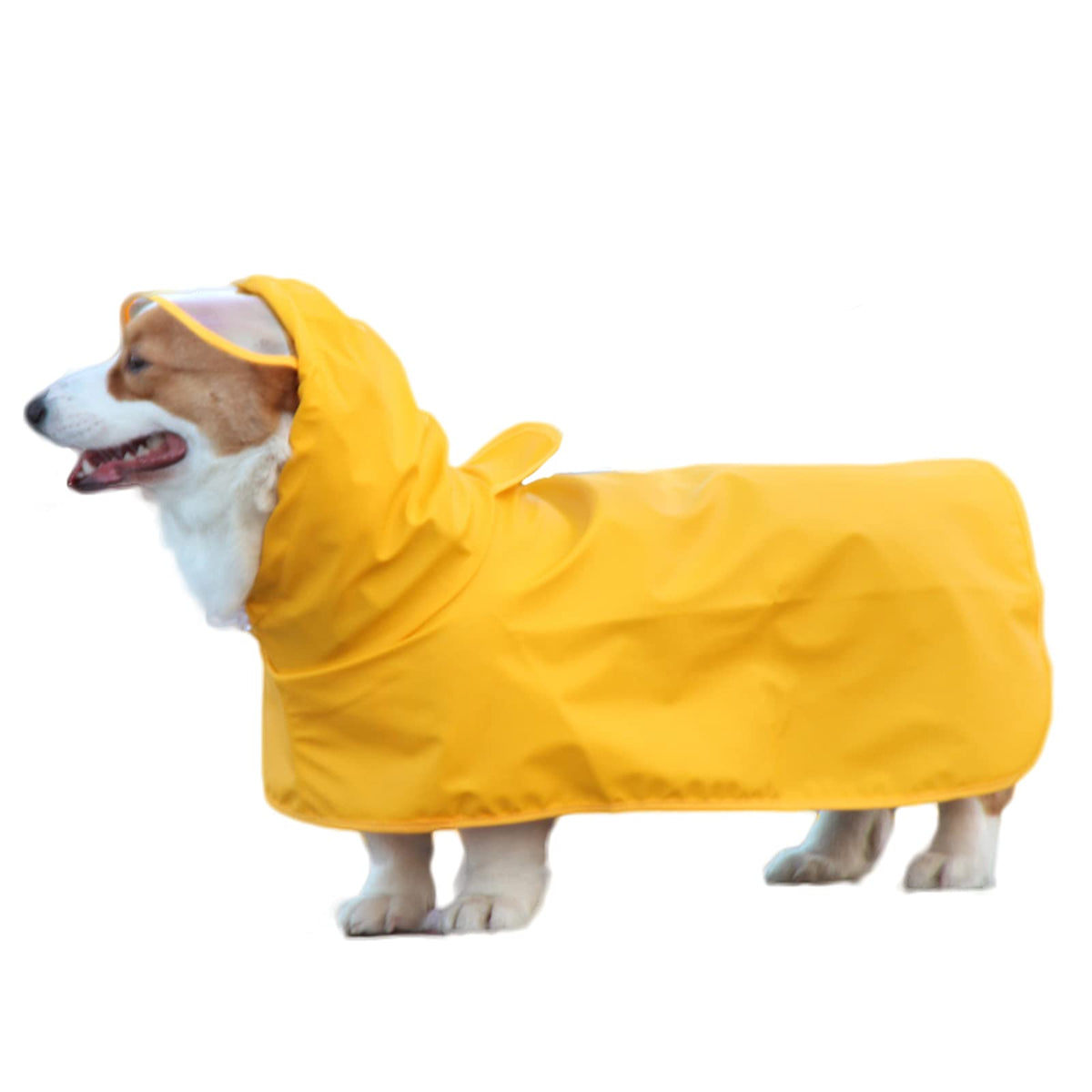 Petmolico Yellow Dog Raincoat