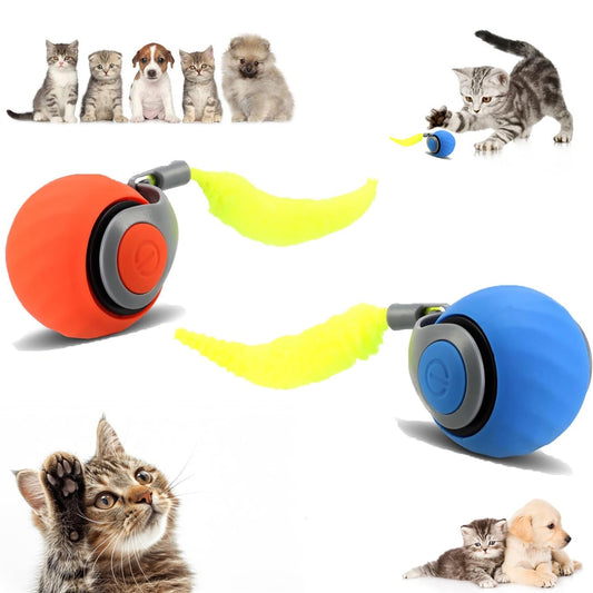 Speedy Tail Rechargeable Cat Toys — 2 Pack