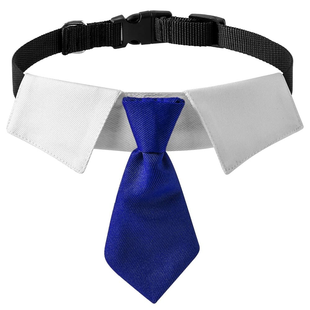 Blue & White Bow Dog Collar